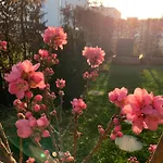 公寓 Bright New 43m2 With A Beautiful Garden 慕尼黑