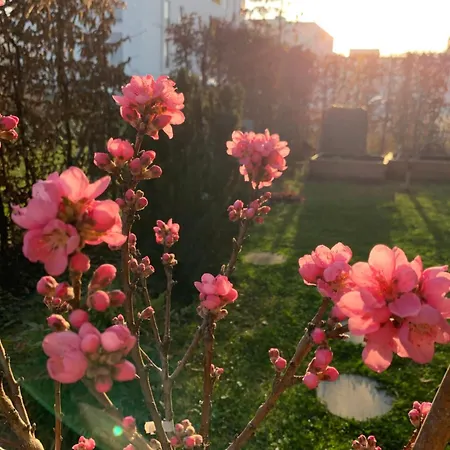 Apartmán Bright New 43m2 With A Beautiful Garden Mnichov