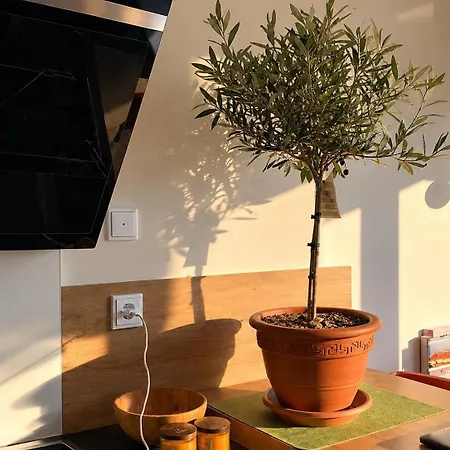 Lejlighed Urban Garden Retreat In South *