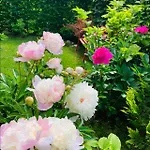Bright New 43m2 With A Beautiful Garden Apartment *